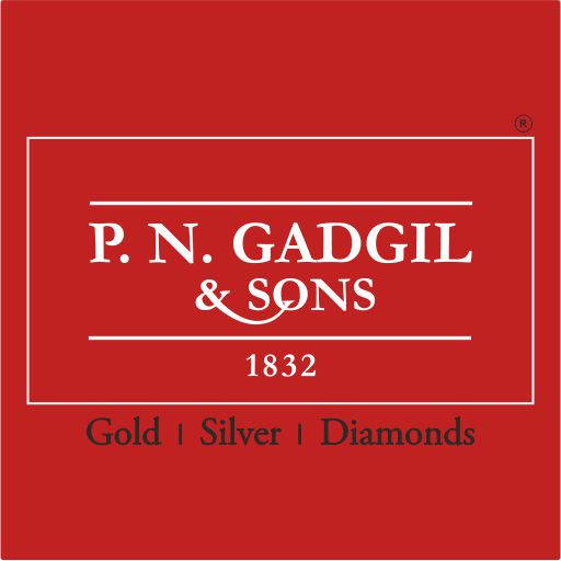 PNG & Sons Advanced Order logo