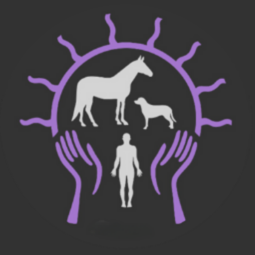 Holistic Horseworks Remedies Download on Windows