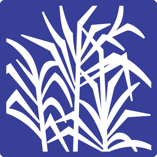 Waialua Federal Credit Union logo