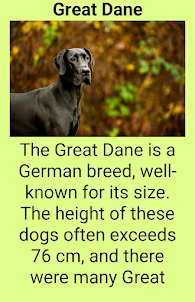 Popular dog breeds