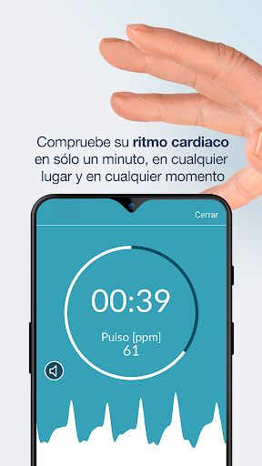 Vista previa de la aplicación