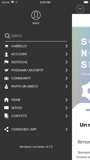 MAVI Screen 3