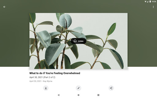 Screenshot of Focus Canada
