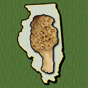 Illinois Mushroom Forager Map Morels Chanterelles
