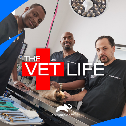 The Vet Life TV on Google Play