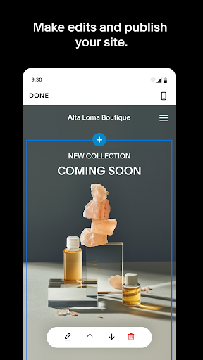 Screenshot of Squarespace: Run your business