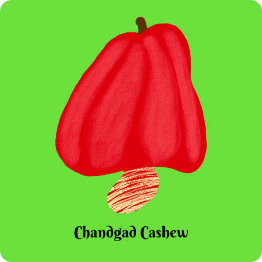 Chandgad Cashew 1.3 Icon