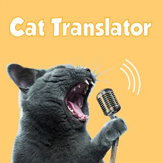 Cat Translator Prank Game Fun