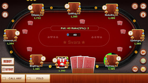 SVARA BY FORTEGAMES SVARKA