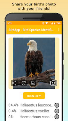 BirdsID - Identify Birdsのおすすめ画像4