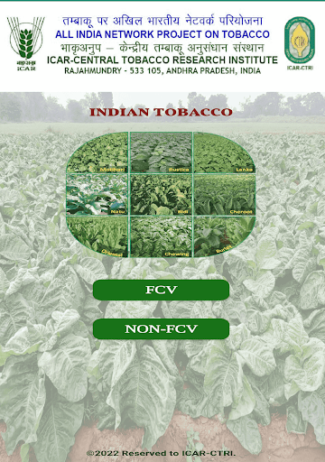 NON-FCV TOBACCO