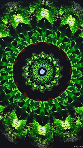 KaleidoSnap: Kaleidoscope Cam Screen 2