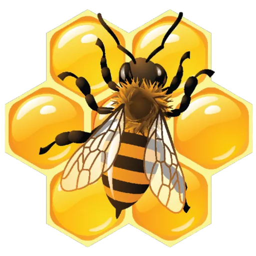 Bee Puzzle Pro 21 Google Play 應用程式