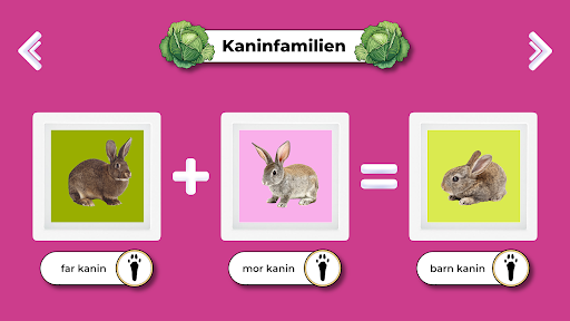 Dyrefamilie på gården Screen 2