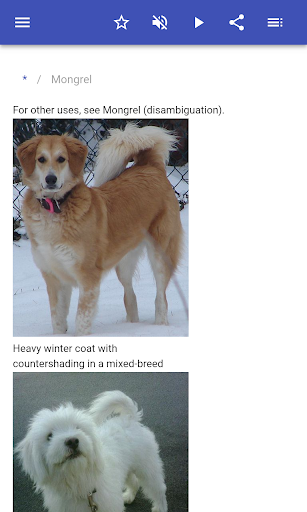 Dog breeds Screen 2