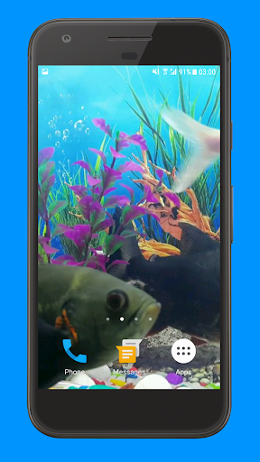 Oscar Fish Aquarium Video 3D Screen 2
