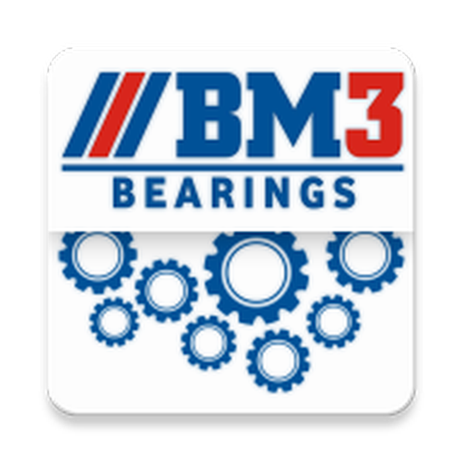 Bm3-Bearings