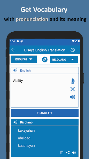 Bisaya English Translator Screen 3