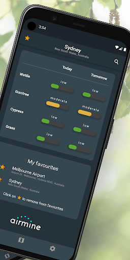 Airmine Pollen Screen 2