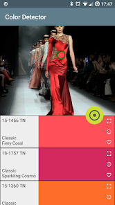 Captura 4 Color detector RAL and PANTONE android