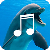 Relaxing Dolphin Sounds icon