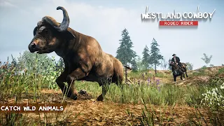 Westland Cowboy: Rodeo Rider - Screenshot 3
