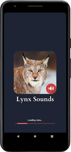Lynx Sounds Screen 2