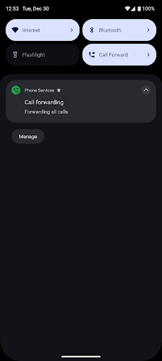 Simple Call Forwarding screenshot 6
