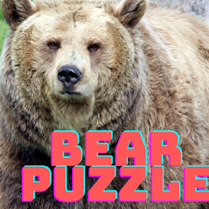 The Bear Picture Puzzle