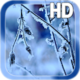 Winter Frost LWP HD icon