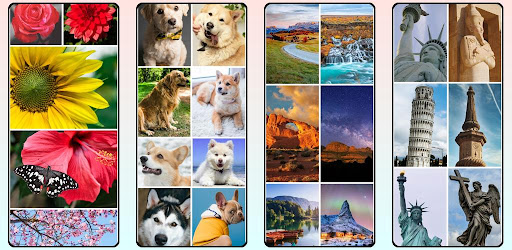 Paint & Color By Number: A Comprehensive Review and Download Guide