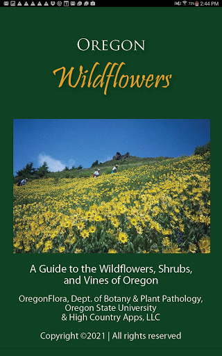 Screenshot of Oregon Wildflowers
