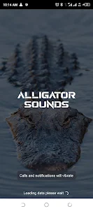 Alligator sounds