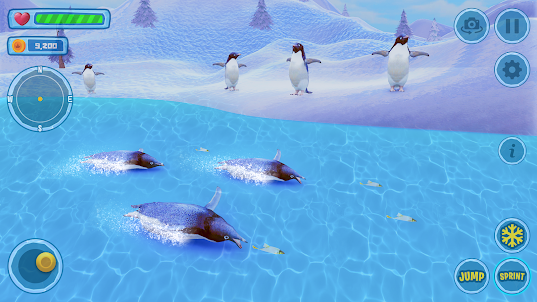 Penguin Simulator Bird Life