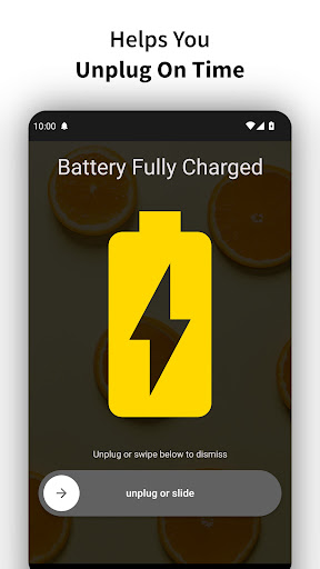 Full Battery Charge Alarm 3