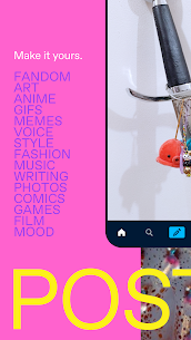 Tumblr—Fandom, Art, Chaos 25.6.0.00 5