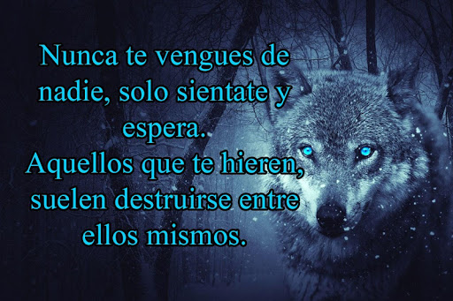 Frases y Reflexiones Hermosas Screen 3