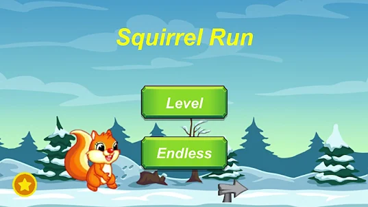 squirrel run