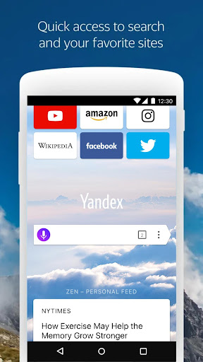 Yandex Browser (alpha) screenshots 1