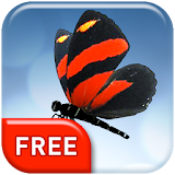 Butterfly 3D  Live Wallpaper icon