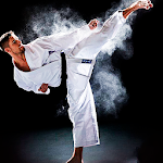 Cover Image of Download Learn Karate 1.0.0 APK