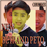 download Betrand Peto Offline + Lirik | SALAH MENCINTAI apk