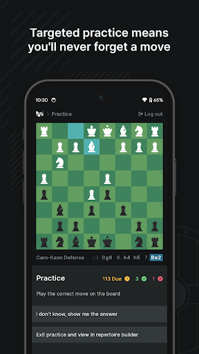 Chessbook screenshot 4