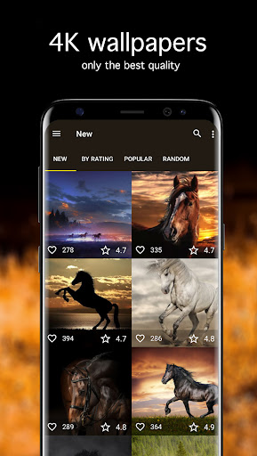 Horse Wallpapers PRO Screen 2