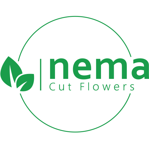 Nema Cut Flowers  Icon