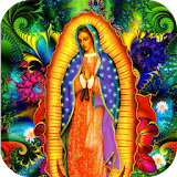 Homenaje Virgen de Guadalupe icon