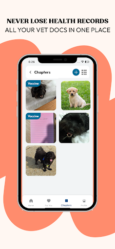 furlife Screen 3