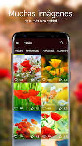 Captura 1 Fondos de pantalla con amapola android