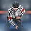 Hockey Referee Simulator