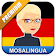 Learn German with MosaLingua icon